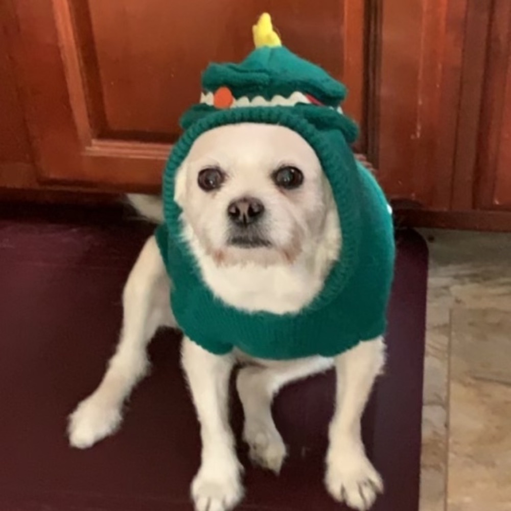 Dog Costume Christmas Tree